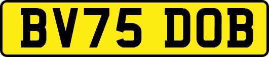 BV75DOB