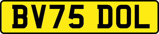 BV75DOL