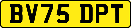 BV75DPT