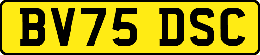 BV75DSC