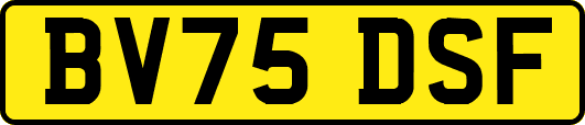 BV75DSF