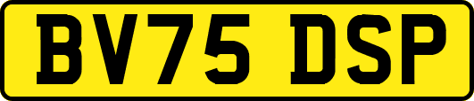 BV75DSP