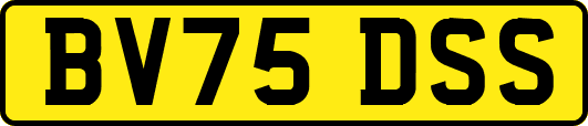 BV75DSS