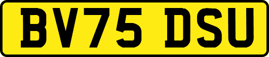 BV75DSU