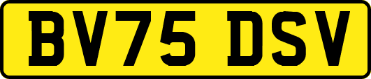 BV75DSV