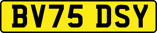 BV75DSY