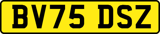 BV75DSZ