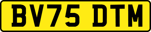 BV75DTM