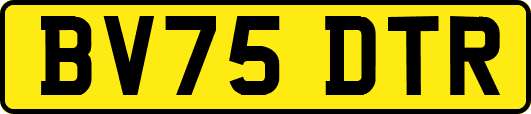 BV75DTR