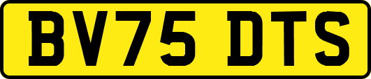 BV75DTS
