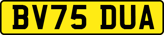 BV75DUA