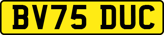 BV75DUC