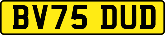 BV75DUD