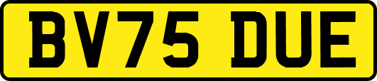 BV75DUE