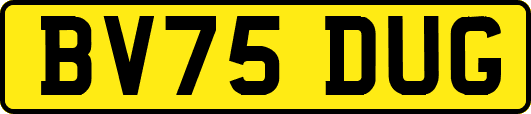 BV75DUG