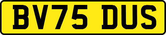 BV75DUS
