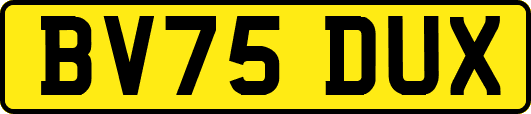 BV75DUX