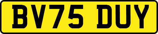 BV75DUY