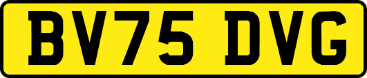 BV75DVG