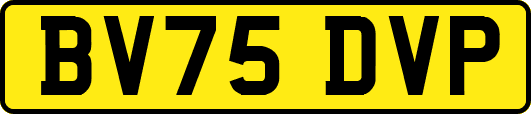 BV75DVP