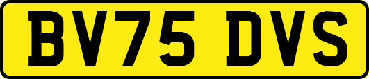 BV75DVS