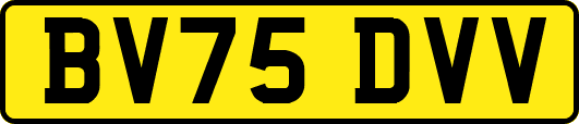 BV75DVV
