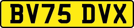 BV75DVX