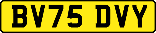 BV75DVY