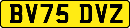 BV75DVZ