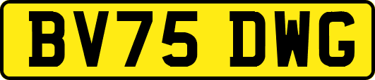 BV75DWG