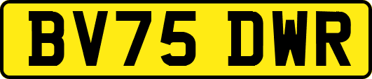 BV75DWR