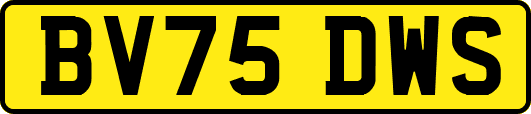 BV75DWS