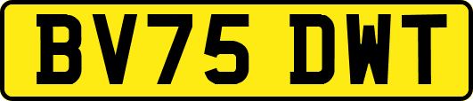 BV75DWT