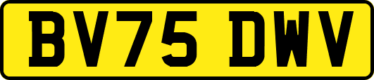 BV75DWV