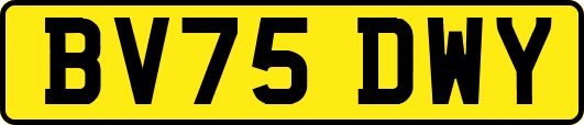BV75DWY