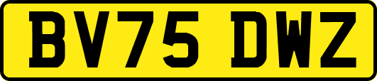 BV75DWZ