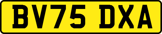 BV75DXA