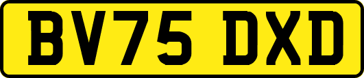 BV75DXD