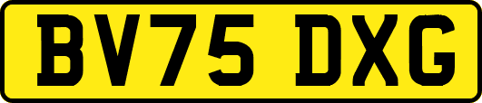 BV75DXG