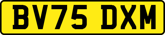 BV75DXM