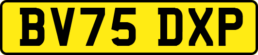 BV75DXP