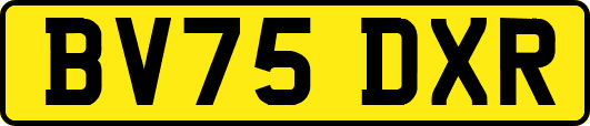 BV75DXR