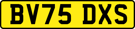 BV75DXS