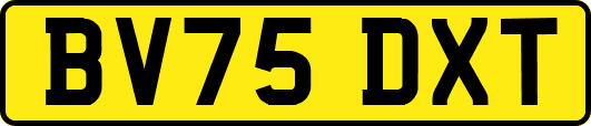BV75DXT