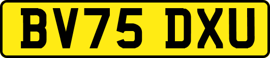 BV75DXU