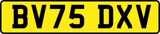 BV75DXV