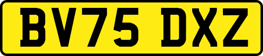 BV75DXZ
