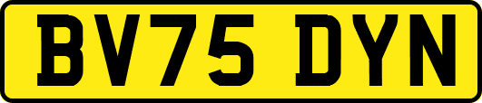 BV75DYN