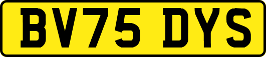 BV75DYS