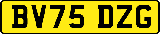 BV75DZG